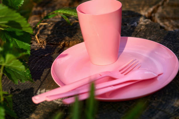 istock Camping.Pink plastic dinnerware set.Cup,plate,fork,knife,spoon.Wood stump 2157608609