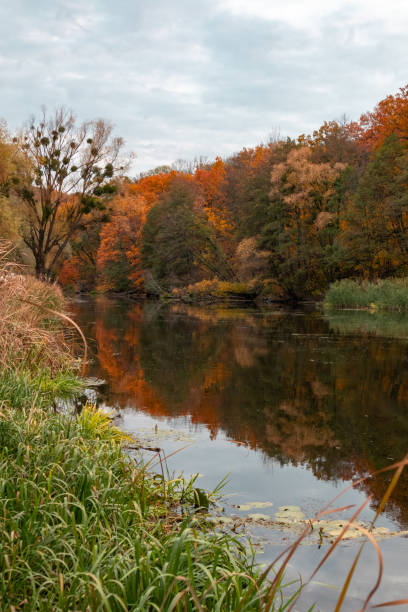 Scenic vibrant autumn trees and green grass reflecting in water of the Siverskyi Donets River