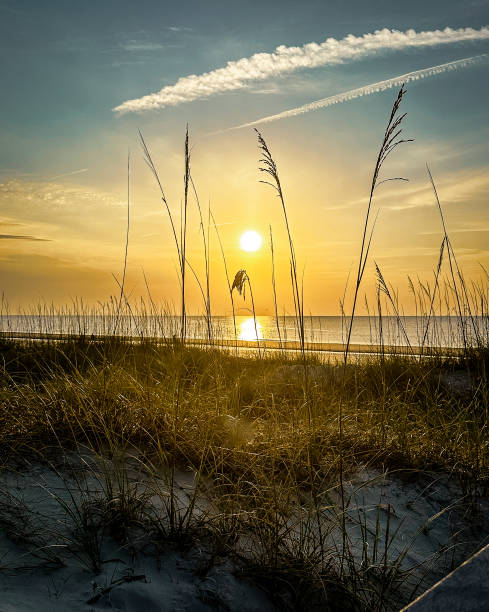 istock Jekyll Island Sunrise 2157616553