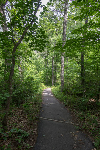 istock Natural Bridge Scenic Area, Kentucky 2157618845