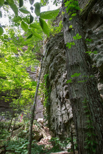 istock Natural Bridge Scenic Area, Kentucky 2157619524