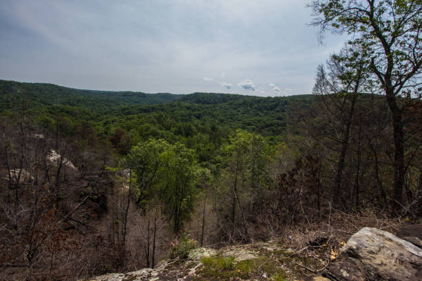 istock Natural Bridge Scenic Area, Kentucky 2157619621