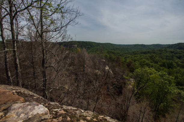 istock Natural Bridge Scenic Area, Kentucky 2157619643