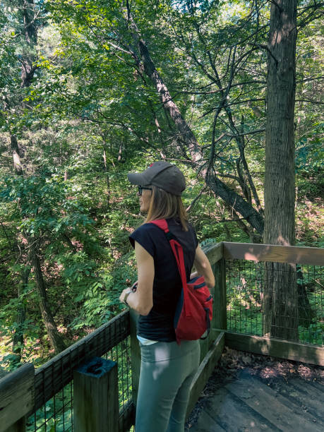 istock Single Female Taking in the Views in the Forest 2157624097