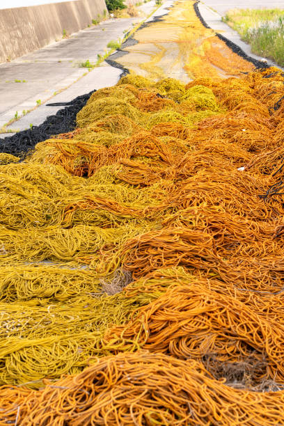 istock Large fishing nets spread out to dry 2157626648