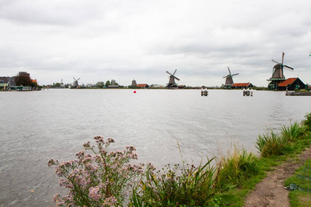 Windmills in the village of Volendam in the Netherlands. Historic farm houses and windmills in the holland village of Zaanse Schans in the north of Amsterdam.