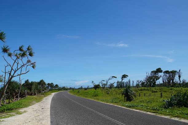 istock Landscape of Efate Island 2157635149