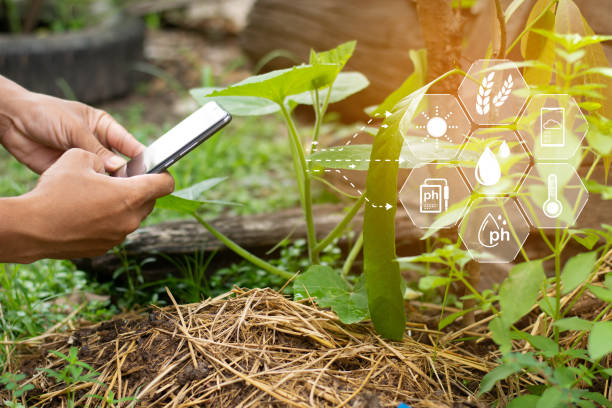 istock Farmers use technology to inspect vegetable gardens 2157636718