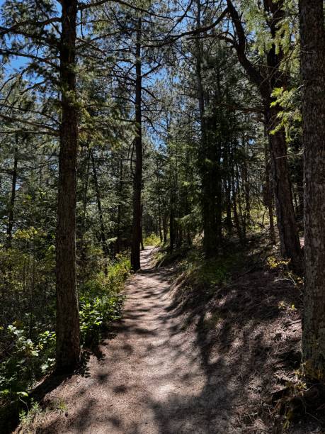 istock Hiking in Colorado 2157638133