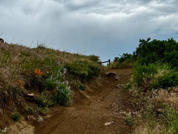 istock Hiking in Colorado 2157638140
