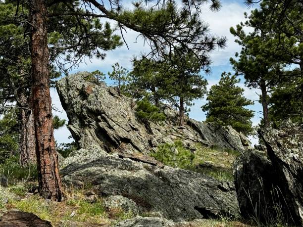 istock Hiking in Colorado 2157638159