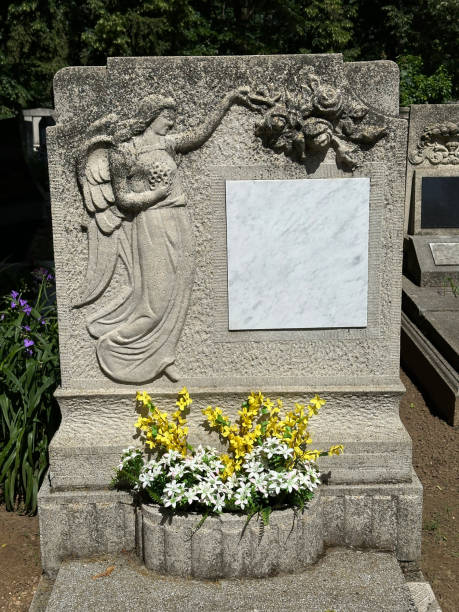 istock Tombstone in the public cemetery 2157638357