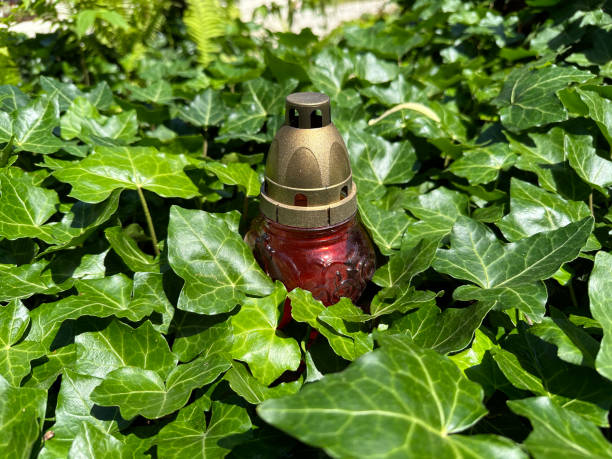 Red lantern on a tombstone with green leaves