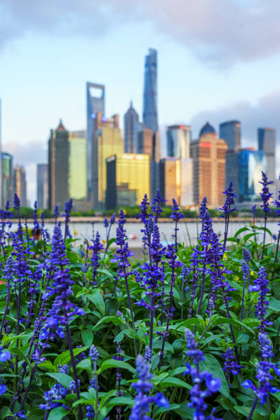 Huangpu River and Lujiazui under the sunset