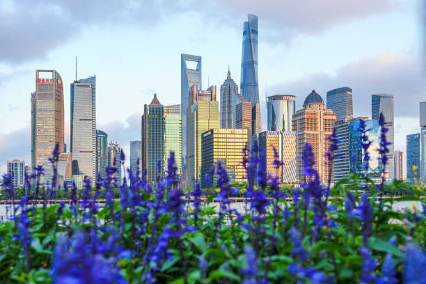 istock Huangpu River and Lujiazui under the sunset 2157641903