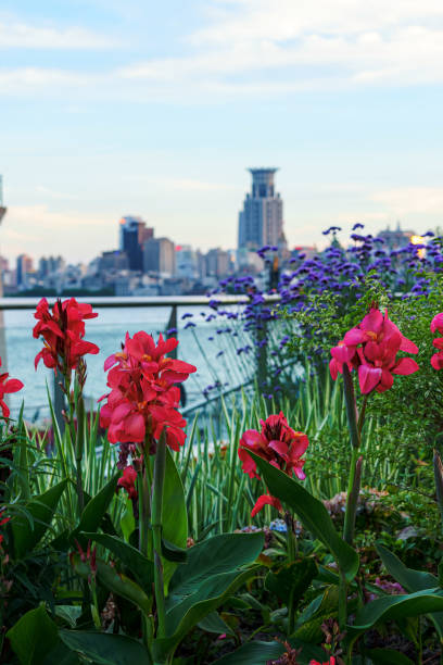 istock The Huangpu River and the Bund at dusk 2157641925