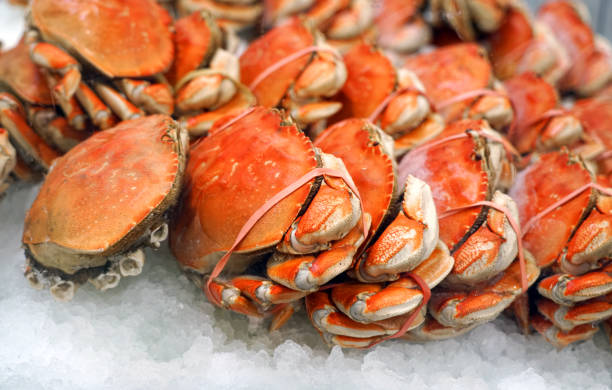 istock Frozen cooked crab on the ice for sale 2157645874