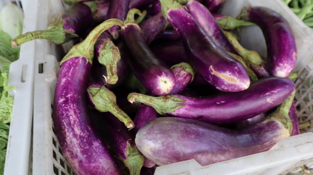 istock purple eggplants on the market 2157652365