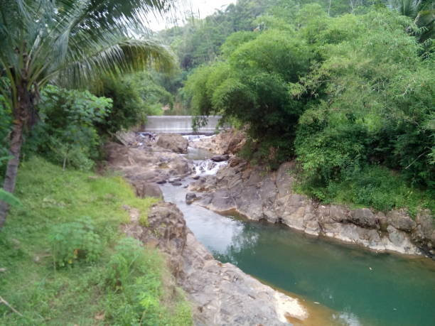 istock river in the middle of the forest 2157657460