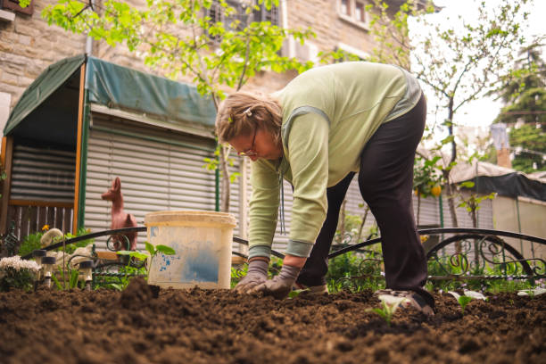 istock Senior woman in her small garden 2157664256