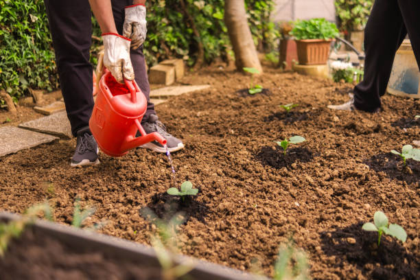 istock Young man redefining male image by helping elderly people do gardening 2157664342