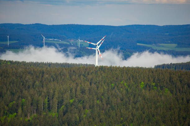 wind turbines in the mountain forest with a low fog under the trees
