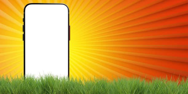 Smart phone. Phone peeks out from behind grass. Mobile gadget With white screen. Phone to demo website. Blank for banner with smartphone. Cellphone on yellow-orange background. 3d rendering.
