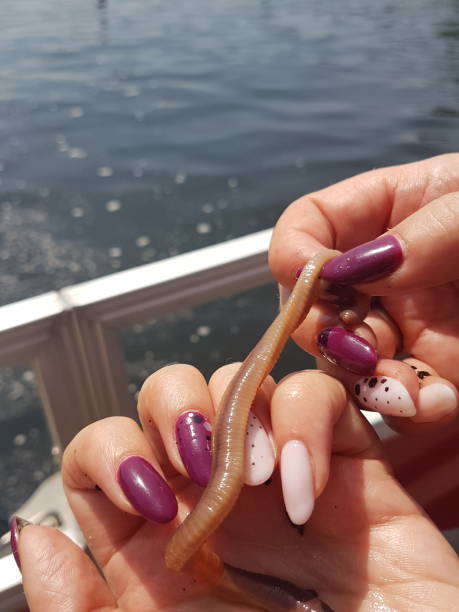 A big fishing worm in woman's hands