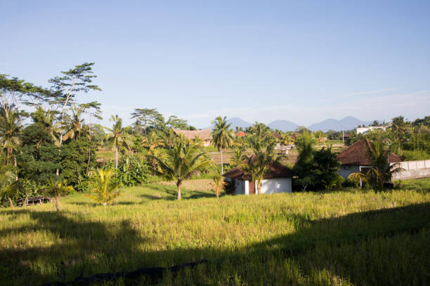 istock Beautiful view of a typical Bali village 2157678588