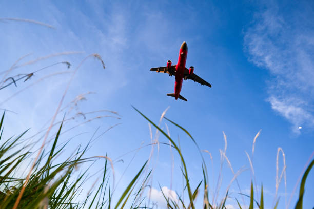 So close, but yet so far. Photo taken at the nearest housing area at Kuching International Airport. Shooting at the lowest angle possible, making the weed a foreground that makes the plane feels a lot closer to viewer.