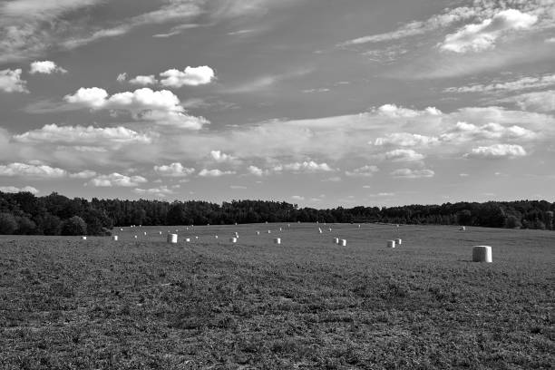 istock agricultural landscape with stubble, straw bales and trees during summer 2157682676