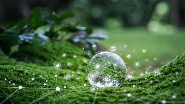 istock crystal globe and environmental icons placed on moss. concepts, ecology, environmental care and environmental business 2157682787