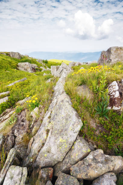istock beautiful mountainous scenery in summer 2157688130