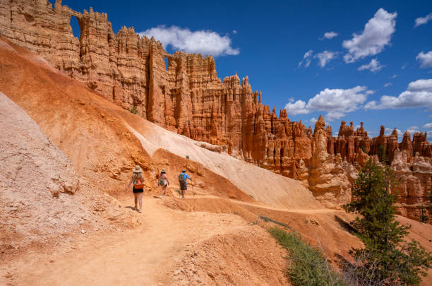 istock Friends hiking in red mountains in Utah. 2157691010