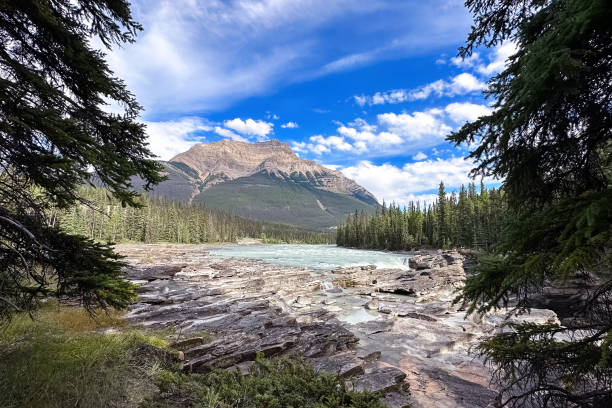 istock Athabasca Falls. Travel in Jasper National Park. 2157691113