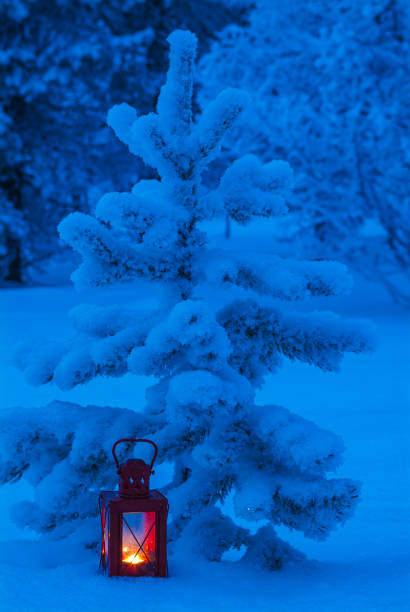 istock A Red Lantern Glows in a Snowy Swedish Forest 2157700383