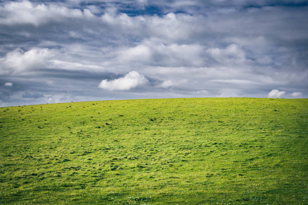 Green field on a hill on a cloudy but sunny day.