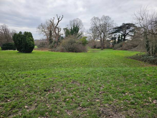 istock A grass field with trees and bushes 2157703072