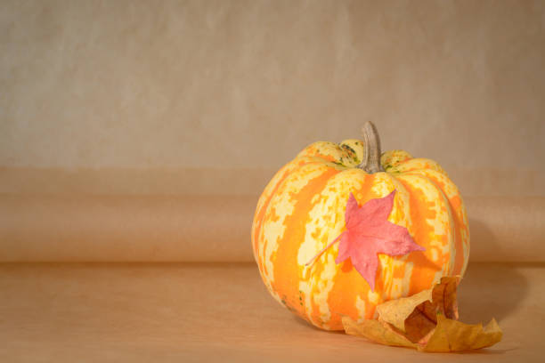 Background with small yellow pumpkin and red maple leaf with copy space in horizontal format