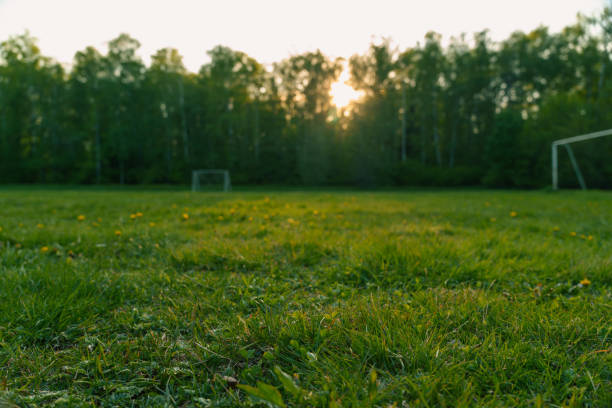 Morning in the sunny park . High quality photo