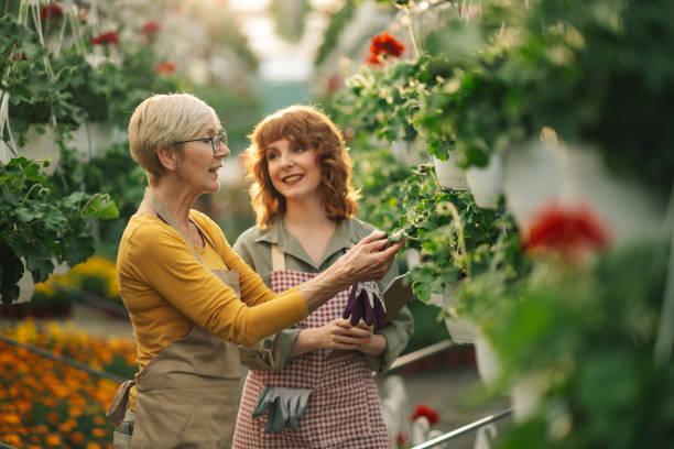 istock Botanists examining vertical garden flowers at hothouse. 2157711256