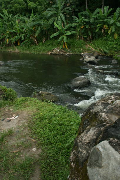 istock The river water flows clear and surrounding environment is still beautiful green 2157713210