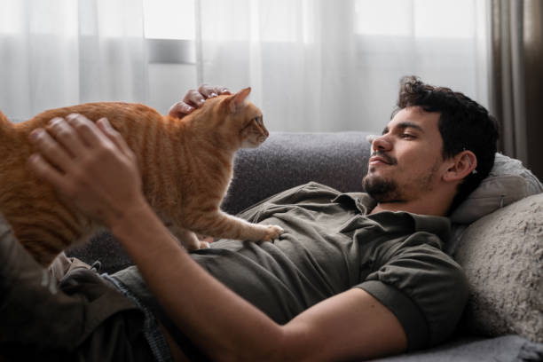 istock young man lying on a sofa by the window interacts with a domestic brown cat 2157716454