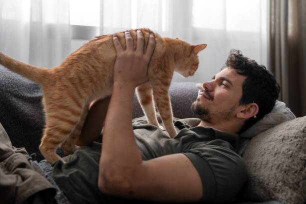 istock young man lying on a sofa by the window interacts with a domestic brown cat 2157716468
