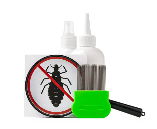 istock Cosmetic products and lice comb isolated on white background 2157717342
