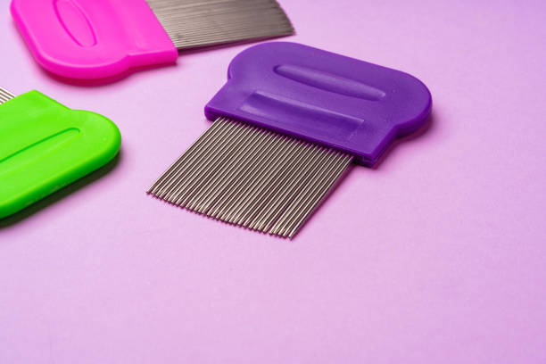istock Three combs for removing lice and nits on lilac background 2157717395