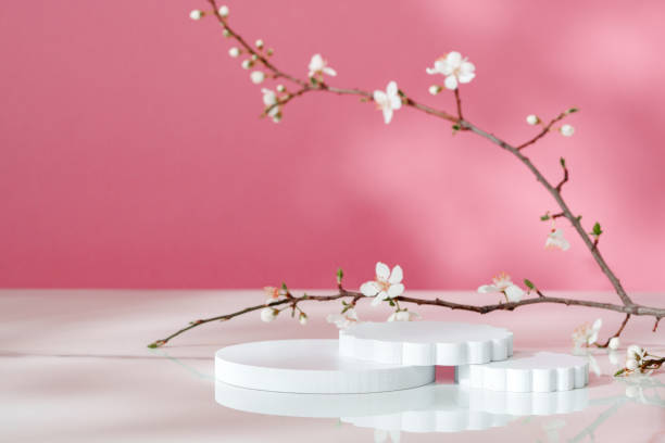 istock Decorative podiums and blooming branches on pink background with shadows 2157717407