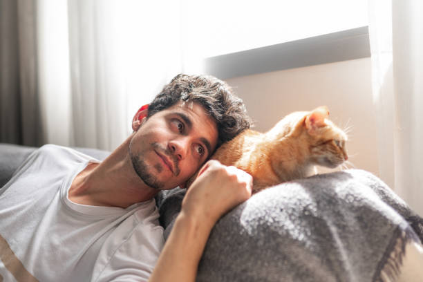 istock young man sitting on a sofa by the window interacts with a brown cat 2157717479