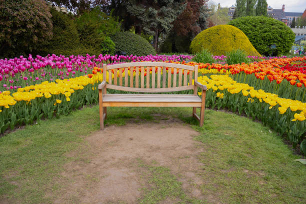 Wooden bench sits in the middle of a flower garden.