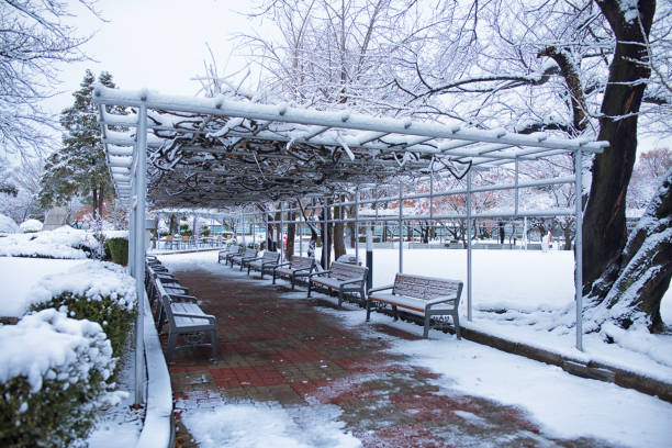 Snow covered winter park during snowfall. A Wooden gazebo in the park.